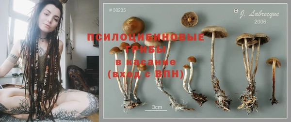 крисы Володарск