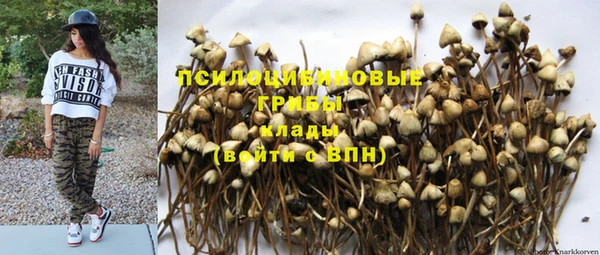 крисы Володарск