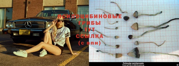 MESCALINE Верея