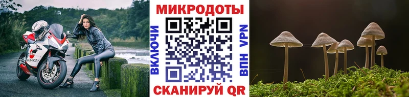 Псилоцибиновые грибы мицелий  Купить где  Среднеуральск 
